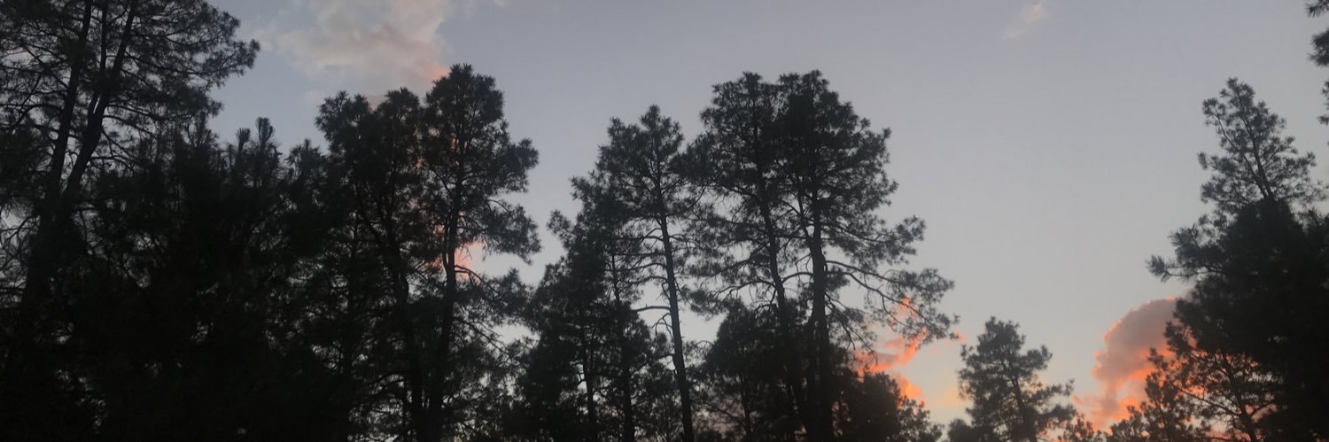 Brookabeee's profile banner image