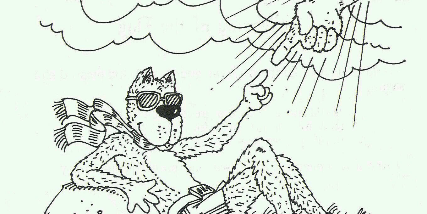 bibledogs's profile banner image