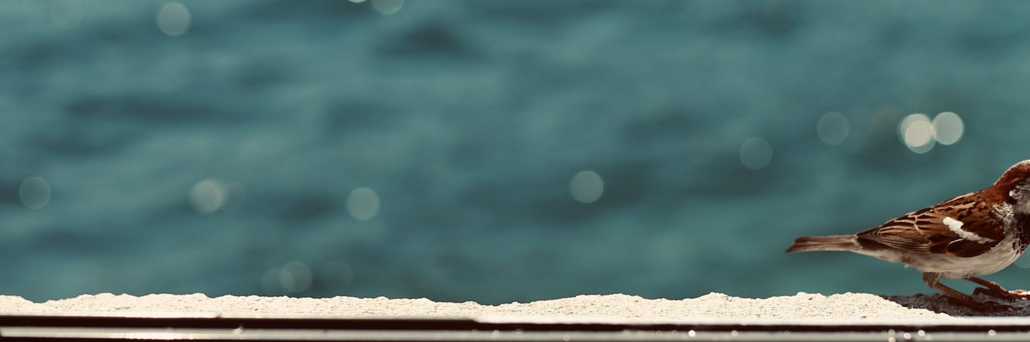 deyisyildiran's profile banner image