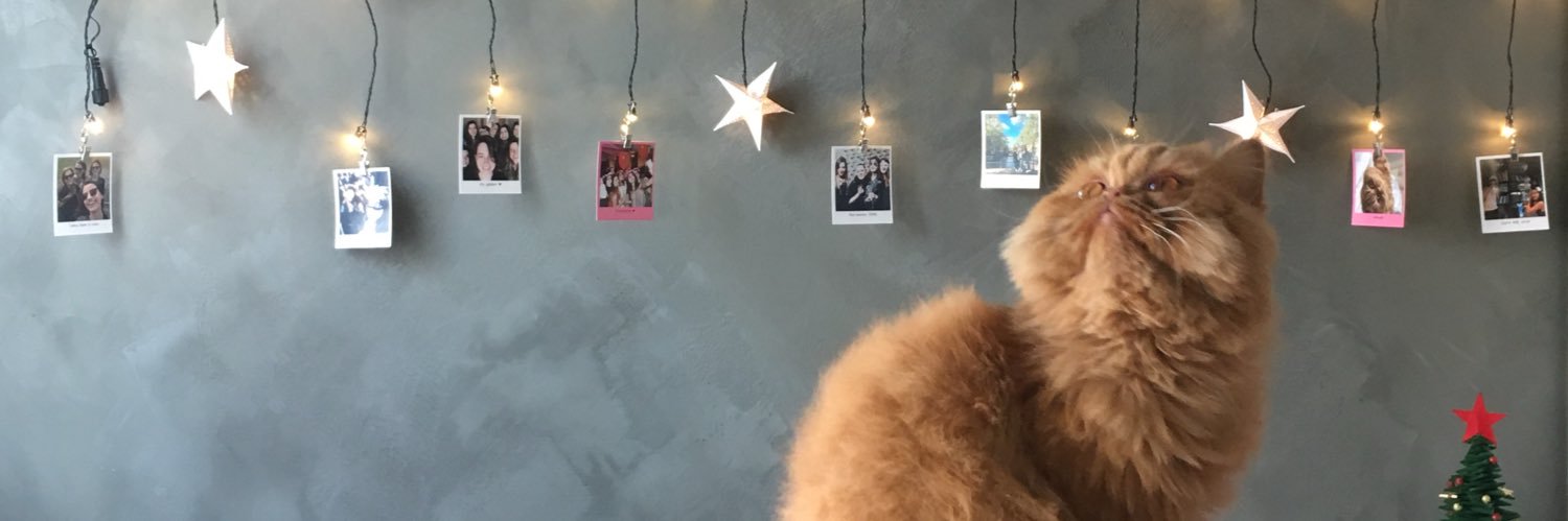 efendibaykus's profile banner image