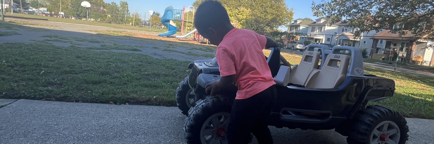 A Professional TaCo banner