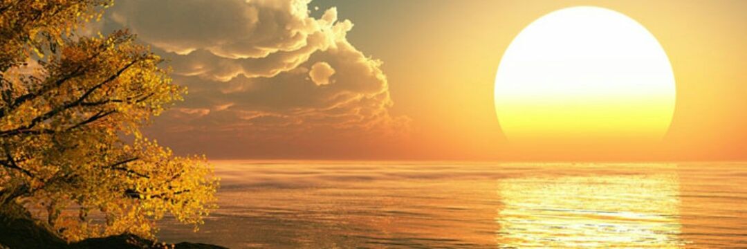 Naif banner