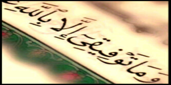 sarabaeisa's profile banner image