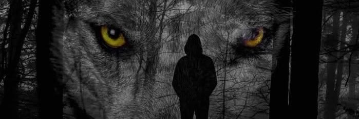 diogenesfool's profile banner image