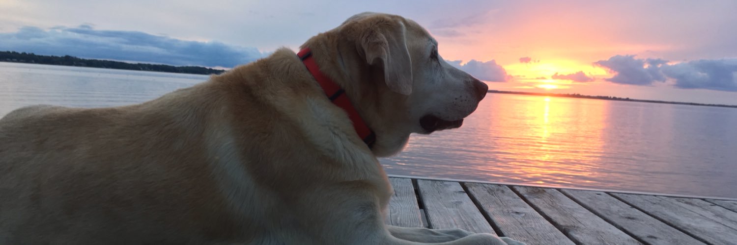 TSchmiedel's profile banner image