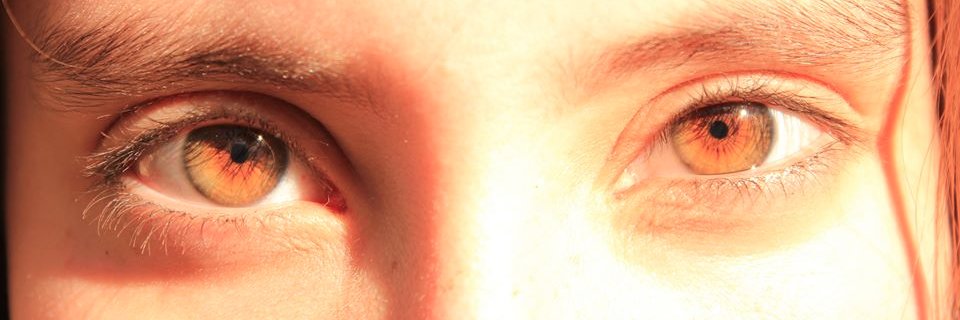 viviffcs's profile banner image