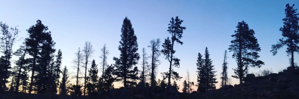 EllaRasmuson's profile banner image