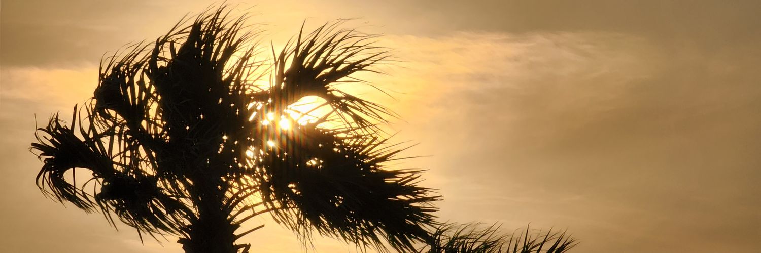 markmoore_nc's profile banner image