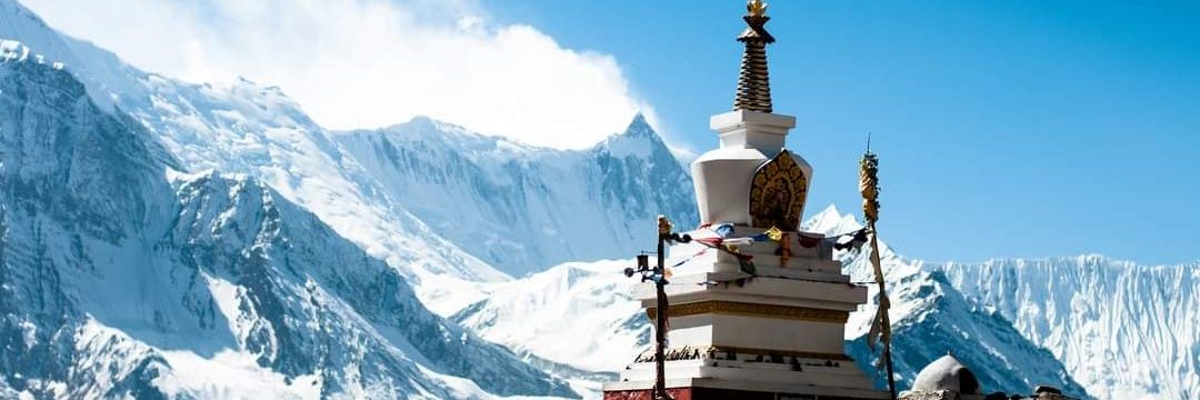 himalayensis's profile banner image