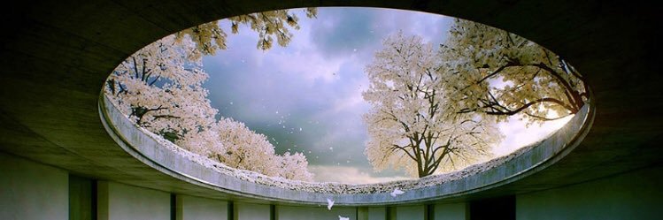 Erkan Oğuz banner
