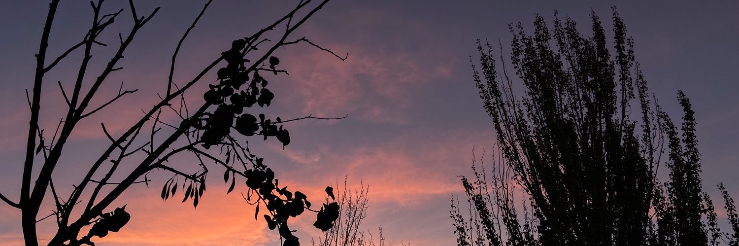 c_delena's profile banner image
