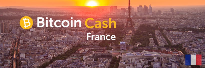 French Bitcoiner banner