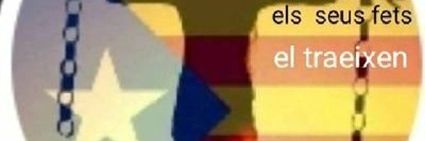 SilviaPolo10 Profile Banner