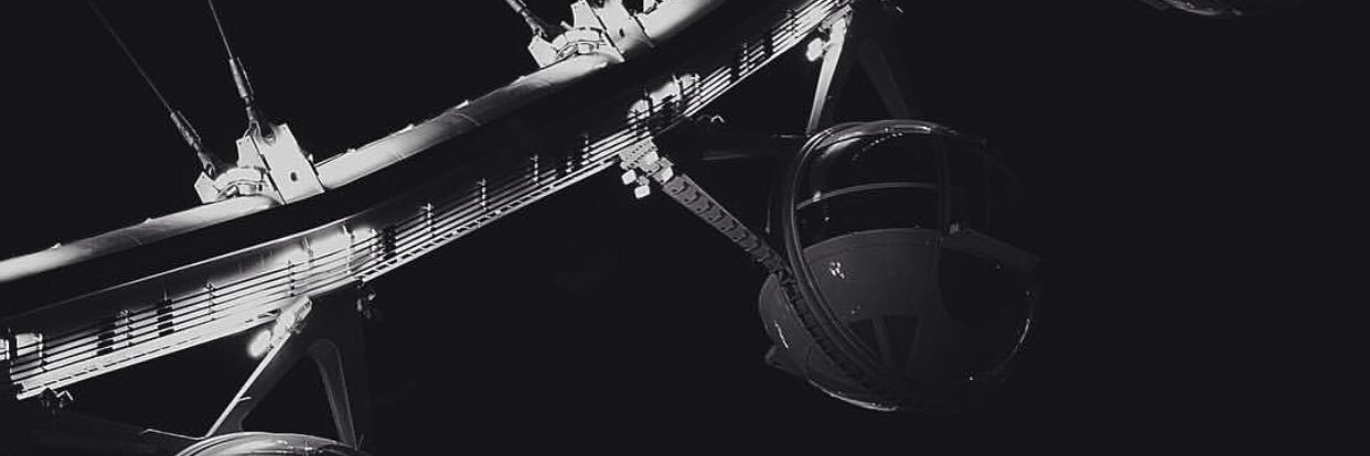 QuintelFlowers_'s profile banner image
