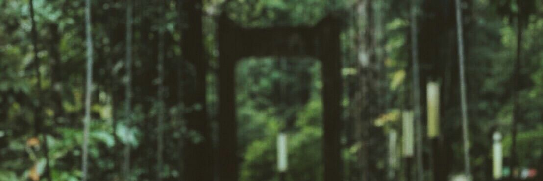 Tellmepmz's profile banner image