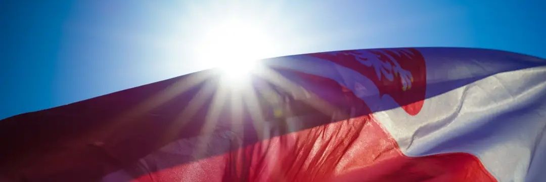 TNiewiad's profile banner image