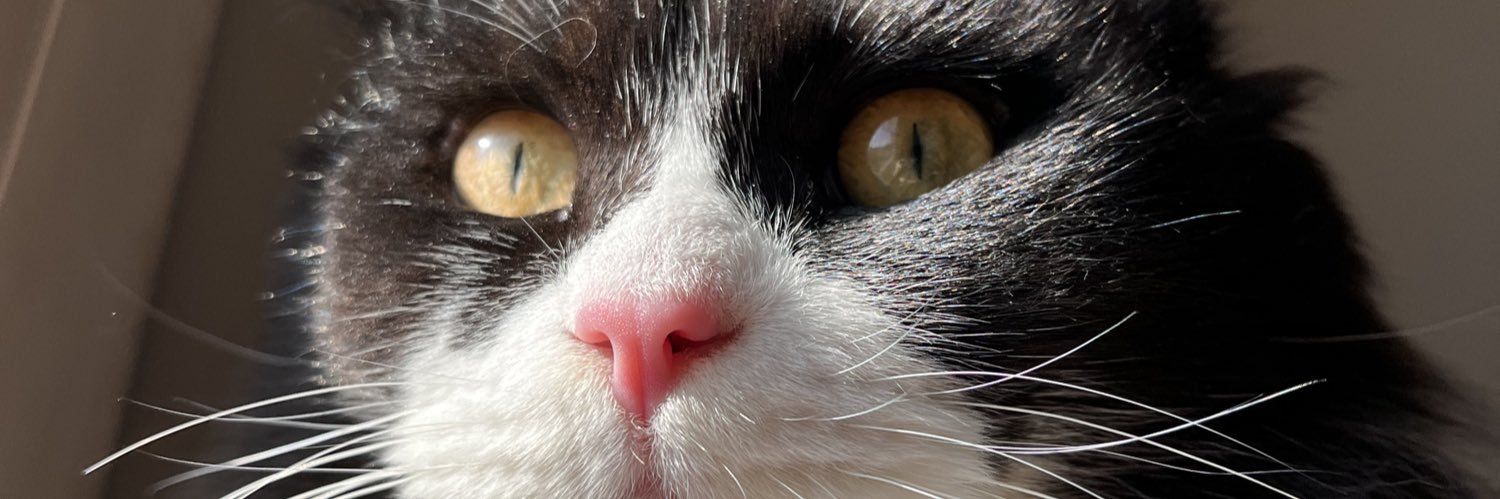 pwephe's profile banner image