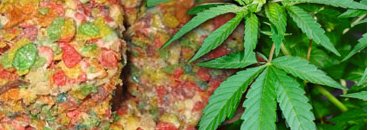 cannabisk's profile banner image