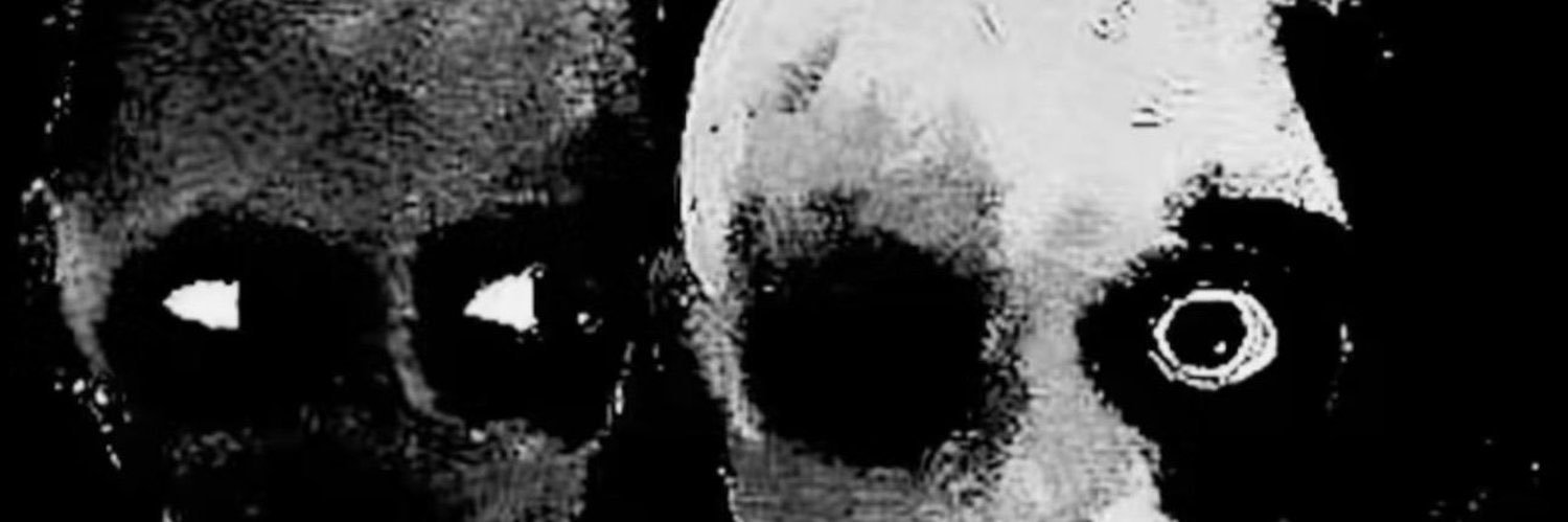 jøsh banner