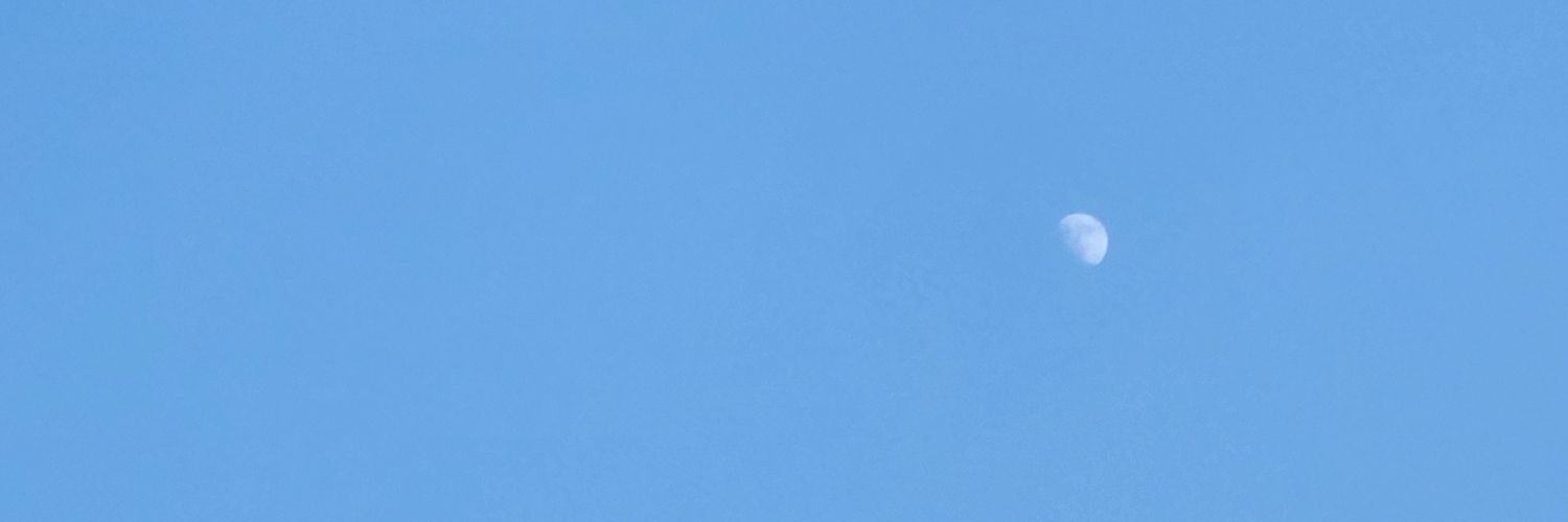 일사 banner