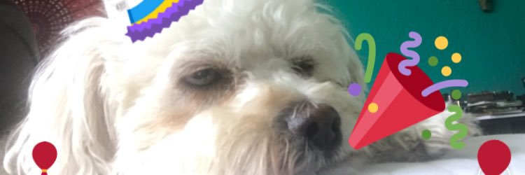 d23varela's profile banner image