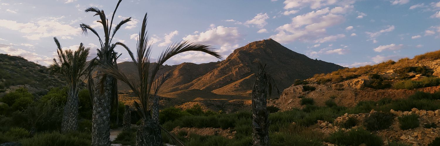 benjamolina's profile banner image