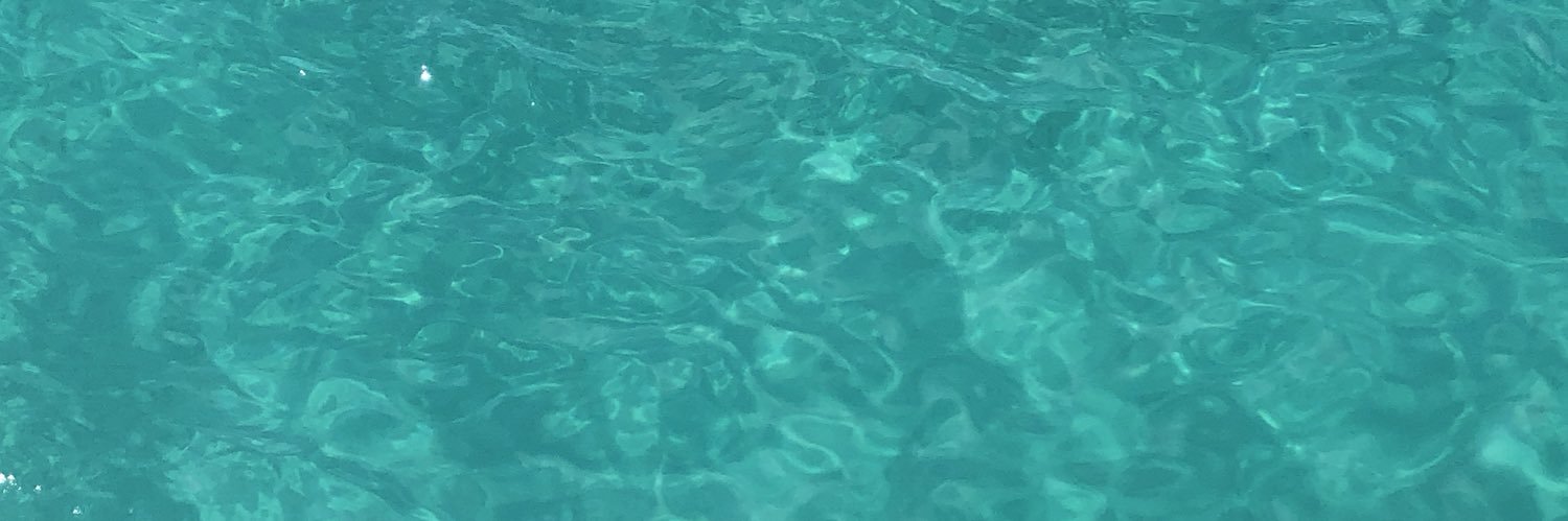 camispach's profile banner image
