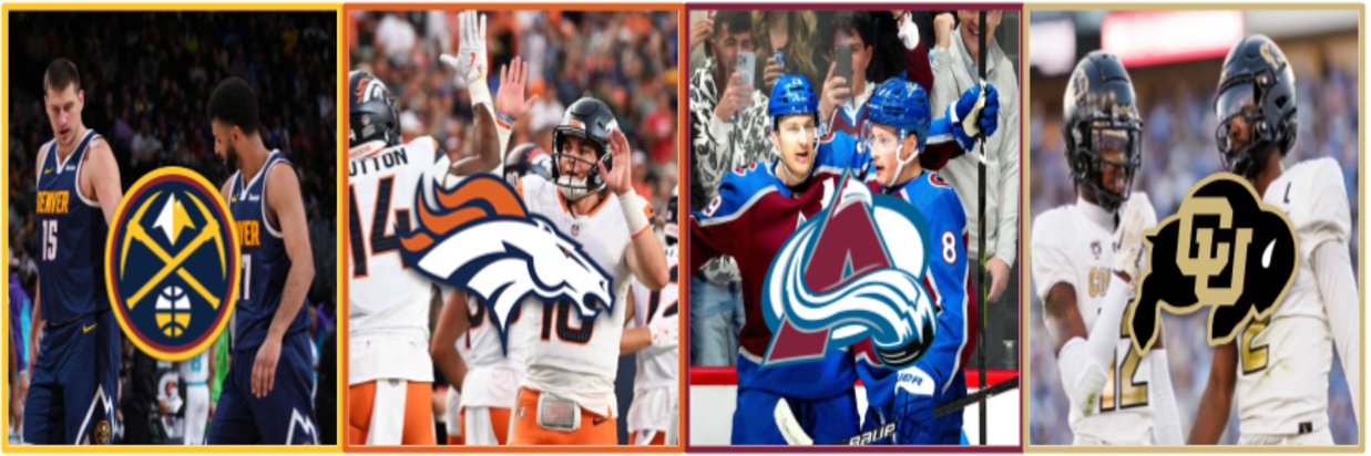 Mile High Fanatic 🏔🦦 banner