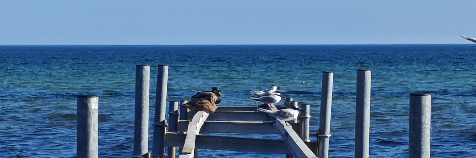 aslijo's profile banner image