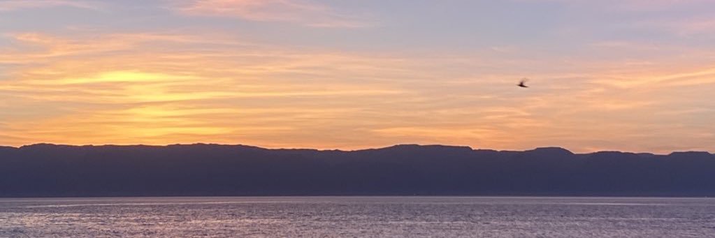 iiul67's profile banner image