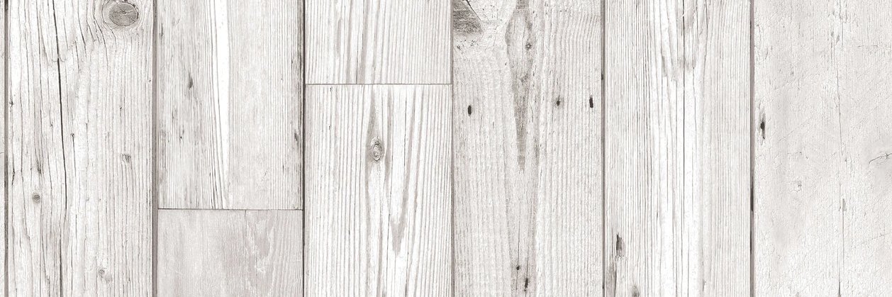 Two Lions Public House banner