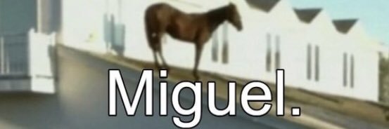 MigL banner
