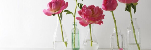 LifeAsLindsay Profile Banner