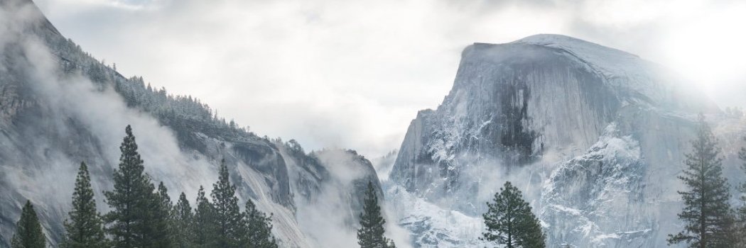RyanTNeal's profile banner image