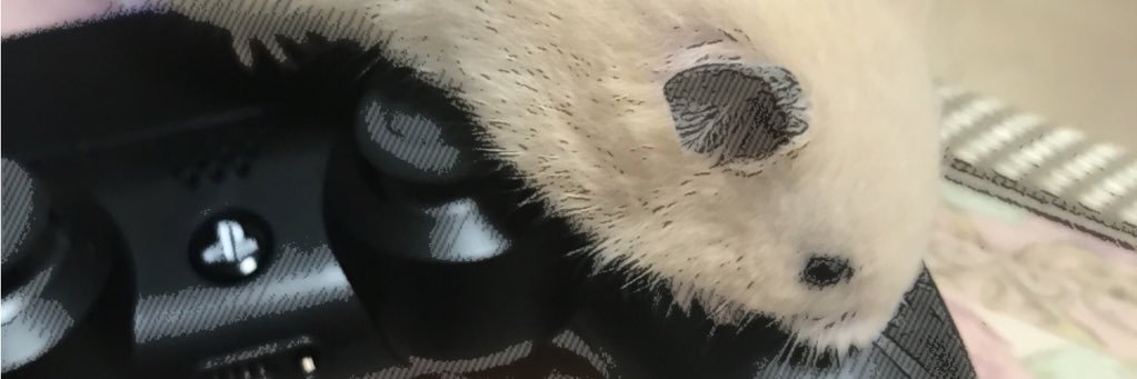 Akapontan1008's profile banner image