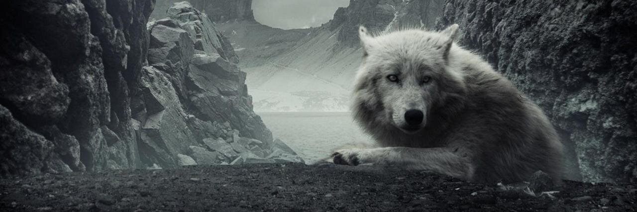 emakes's profile banner image