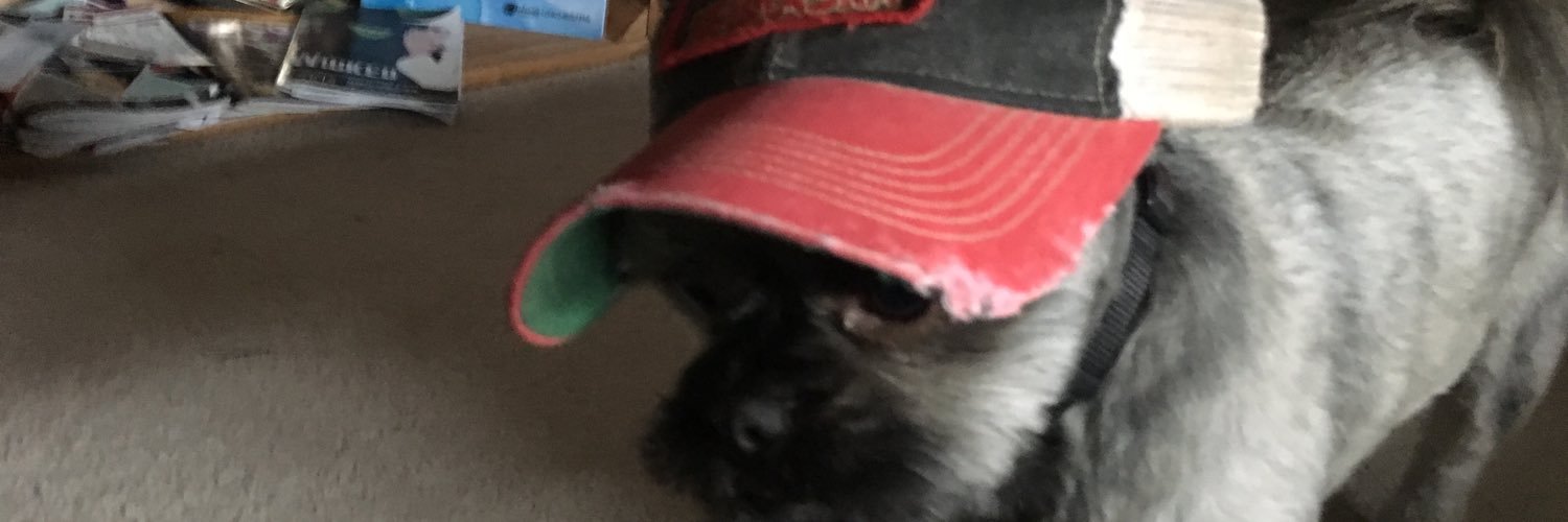 DougRamsey5's profile banner image