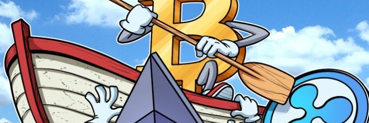 Crypto Vikin banner