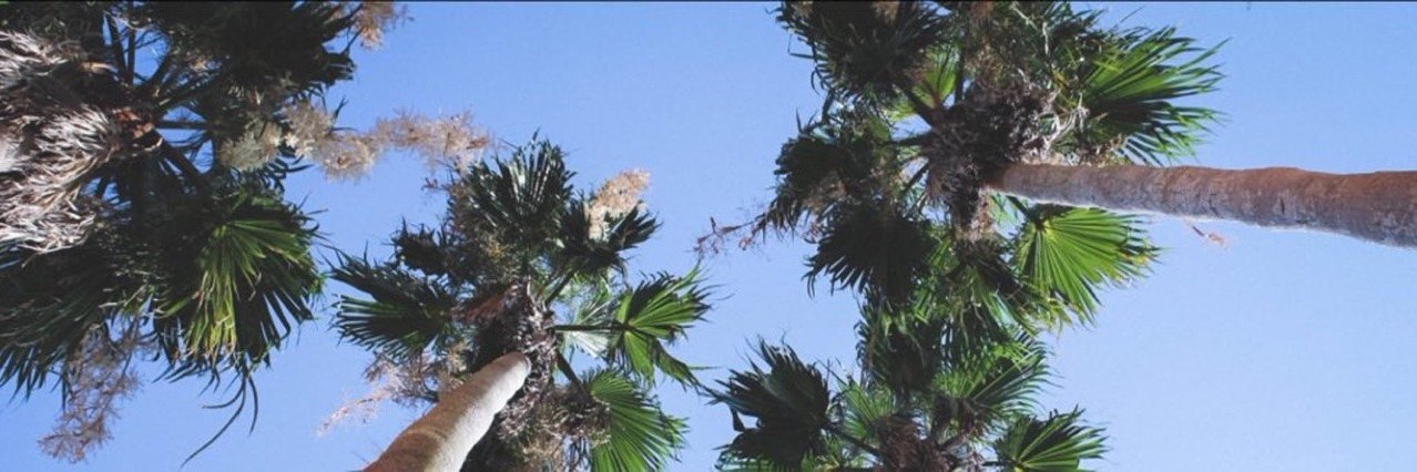dlwlrmeun's profile banner image