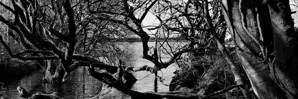 CornwallNature Profile Banner