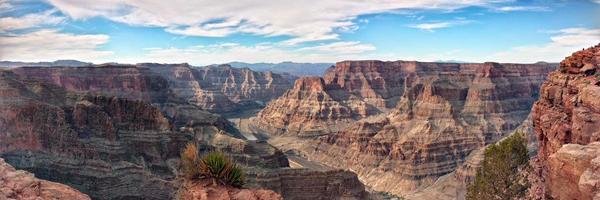 mikeydodd Profile Banner