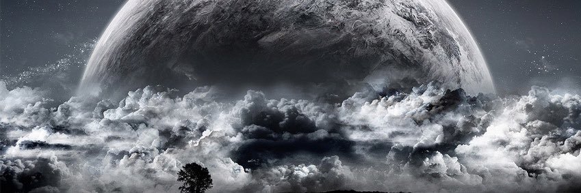 allyamend's profile banner image
