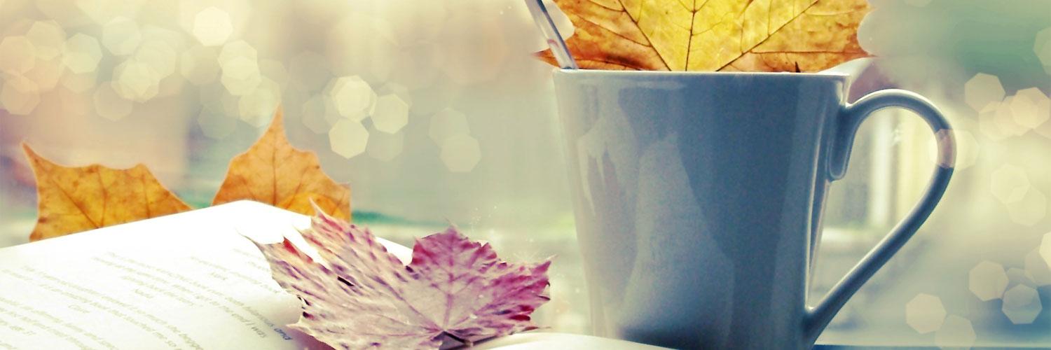 Anita Ly banner