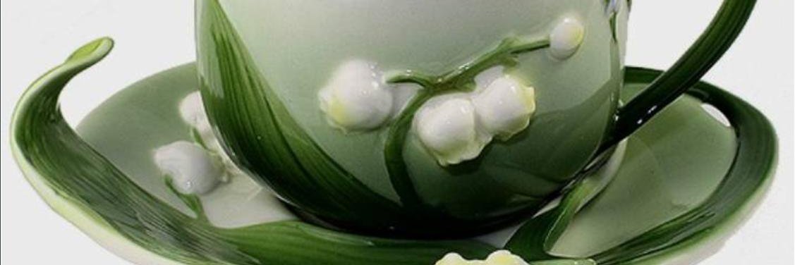 dorota hajewska🐾 banner