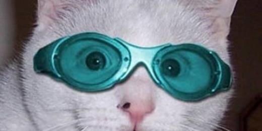 ryutotora33's profile banner image