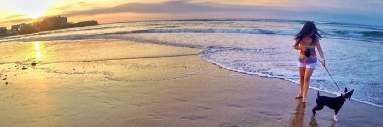 IsaDanin's profile banner image