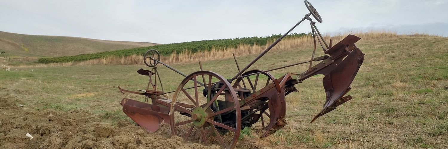 🔻Kamal Cherif banner