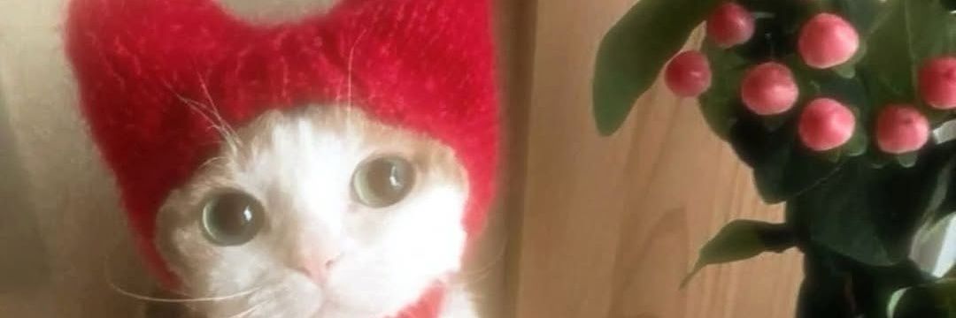 Billel_ll's profile banner image
