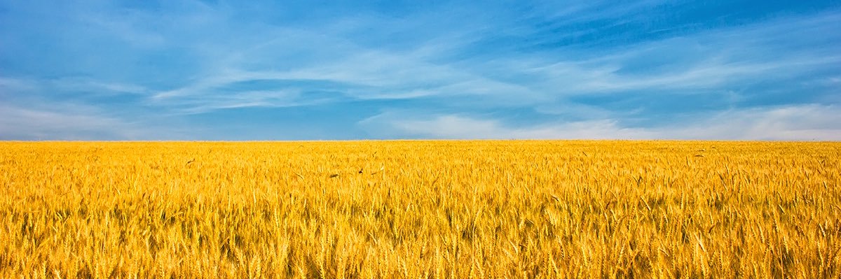 Mindaugas Zickus banner