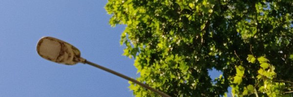 geo_rgina_c Profile Banner